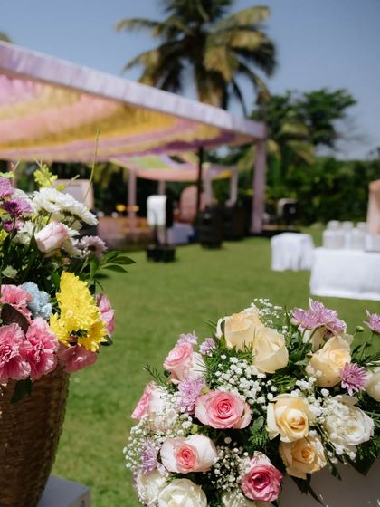 Our Team in Action photo 63