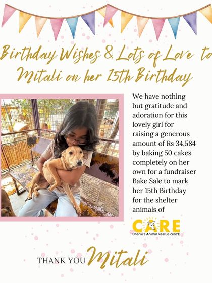 Charlie's Animal Rescue Centre - Community Outreach & Education Community Fundraising Events photo 37