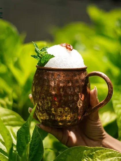 A refreshing cocktail served in a traditional copper mug, garnished with fresh mint. It’s the perfect drink to enjoy in our green surroundings.