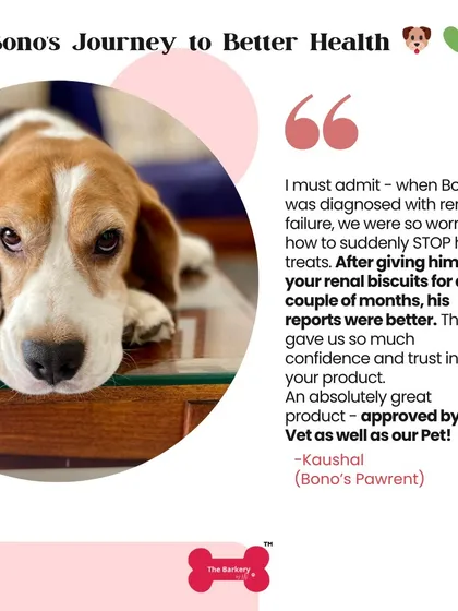 This is why I do what I do. Bono's story is a powerful reminder that the right nutrition can make a world of difference, even with a serious diagnosis like renal failure. His vet and his parents trust my renal biscuits, and I am so grateful to be a part of his journey to better health.