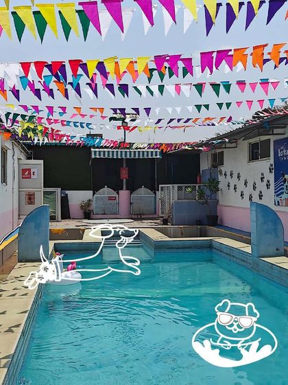 Poochkoo - Pet Activities & Adventures Splash Zone: Pool Fun & Hydrotherapy photo 19