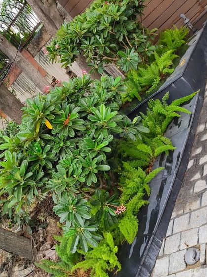 A different perspective on the tiered planter design, showing how it adds greenery to a paved area.