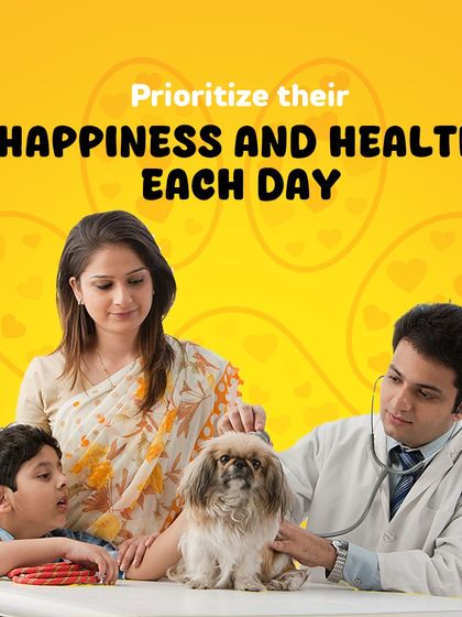 Oh My Pet - At-home Pet Grooming A Pet Parent's Guide photo 8