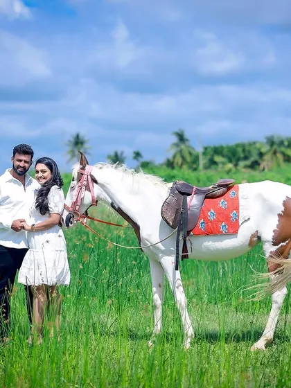 Combining a love for horses with a maternity announcement, this outdoor shoot in a lush green field is both unique and beautiful.