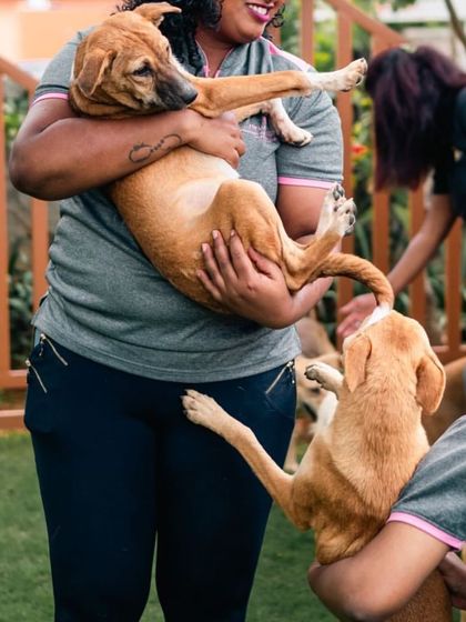 The joy is contagious when pets and people come together. Our grounds provide a safe and fun environment for playful interactions and cuddles.
