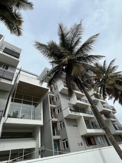 Palm trees frame the view of "The Treehouse" apartments, highlighting the integration of landscape and architecture.