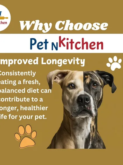 My ultimate goal is to give you more healthy years with your best friend. A consistent diet of fresh, balanced food can contribute to improved longevity, giving your pet a longer, healthier, and happier life.