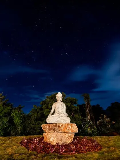 A serene Buddha statue under a starry night sky at a retreat in Chikmagalur. This image captures the peaceful and spiritual atmosphere you can find here, perfect for meditation and quiet reflection.