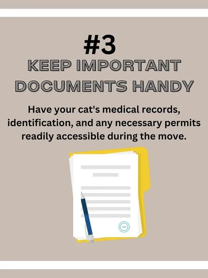 Cat Relocation Tip: Keep all important documents like medical records and permits handy and easily accessible throughout the move.