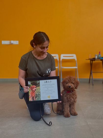 Little Theo proudly posing with his Puppy Pre-School certificate at just 5 months old. It's never too early to start!