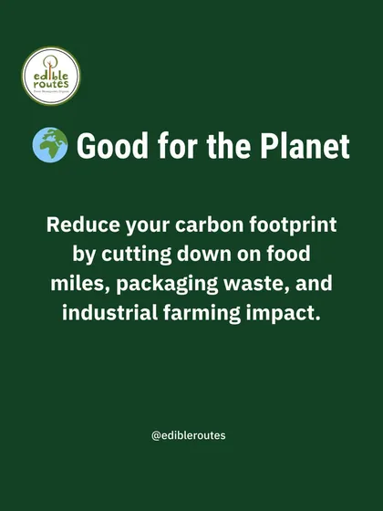 Growing your own food is good for the planet. It reduces your carbon footprint by cutting down on food miles, packaging waste, and the environmental impact of industrial farming.