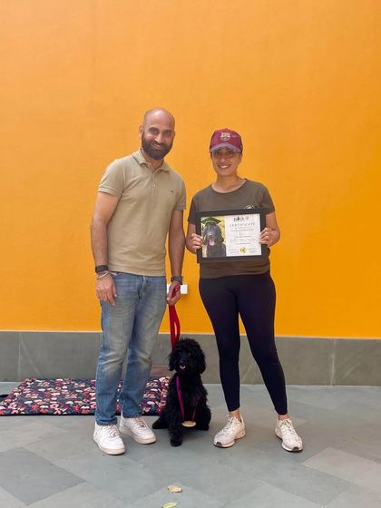 Kai's graduation day! He worked so hard to overcome his hyperactivity and leash reactivity, and we couldn't be prouder.