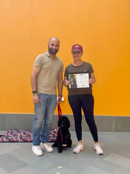Kai's graduation day! He worked so hard to overcome his hyperactivity and leash reactivity, and we couldn't be prouder.