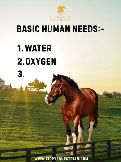 Basic human needs: water, oxygen, and horses. For us, horses are essential to a life filled with freedom, therapy, and pure joy.