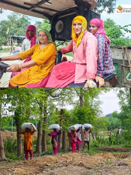 This is the heart of our operation in Uldeypur, Meerut. The local women are the true guardians of the forest. They run our nurseries, manage the vermicompost unit, and drive the tractors. When you partner with us, you support these local heroes.