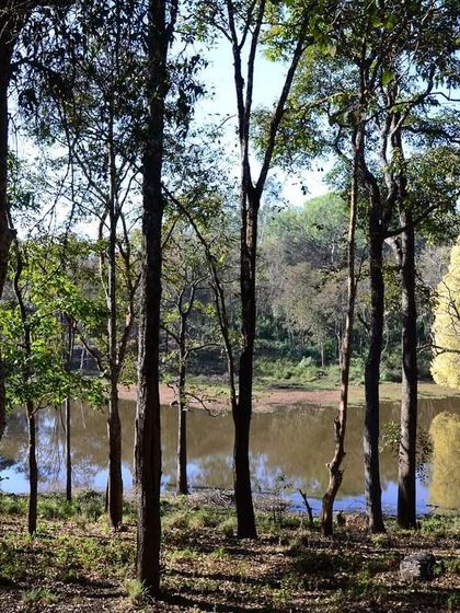 India's Wild Tapestry: Landscapes & Habitats photo 13