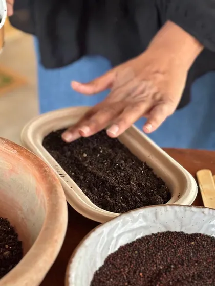 The process of growing microgreens starts with preparing the soil. Here, a participant pats down the cocopeat and soil mix before sowing the seeds.