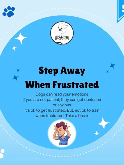 Finally, if you feel frustrated, step away. Dogs can read your emotions, and your frustration will only make them anxious. It's okay to take a break.