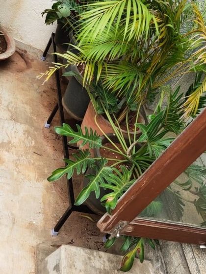 The Garden Hub - Custom Planter Stands Balcony Garden Solutions photo 10