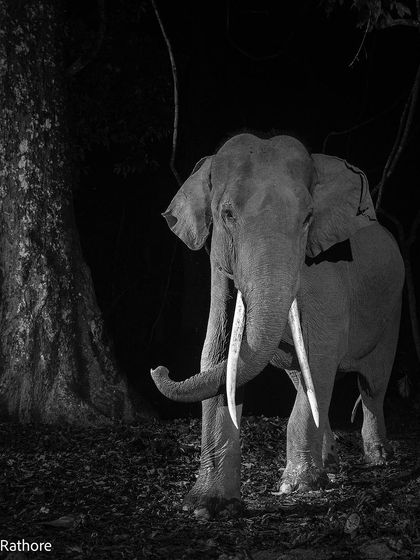 Duplicate of image 26.