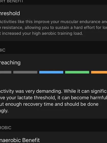 This workout was a threshold session, which is very demanding but significantly improves lactate threshold. The data shows I was "overreaching," a reminder that recovery is crucial after such a hard effort.
