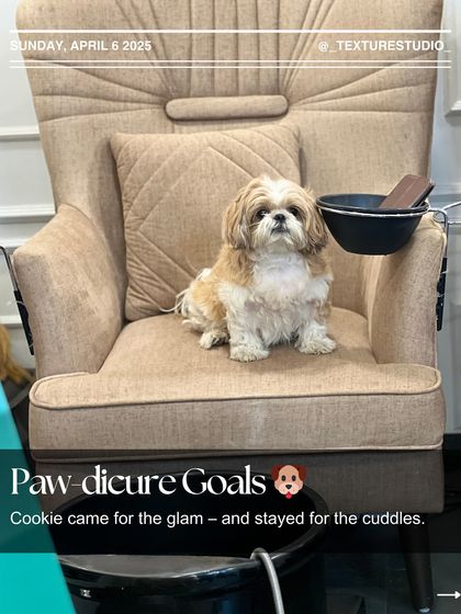 The Vibe: Your Happy Place photo 6