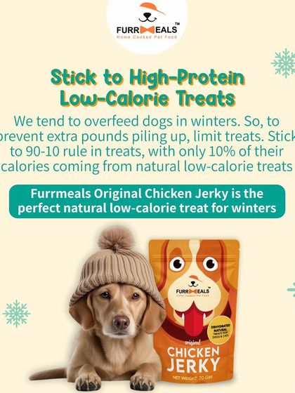 Winter is here! This guide provides my top diet tips for dogs during the colder months, including managing calorie intake, keeping them hydrated, supporting fur health, and using high-protein, low-calorie treats.