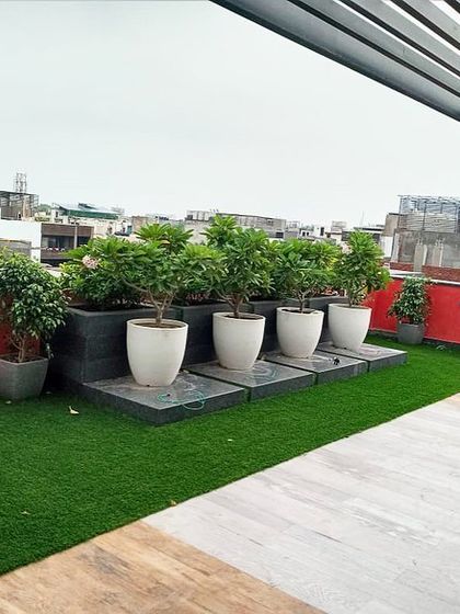 Terrace & Rooftop Gardens photo 3