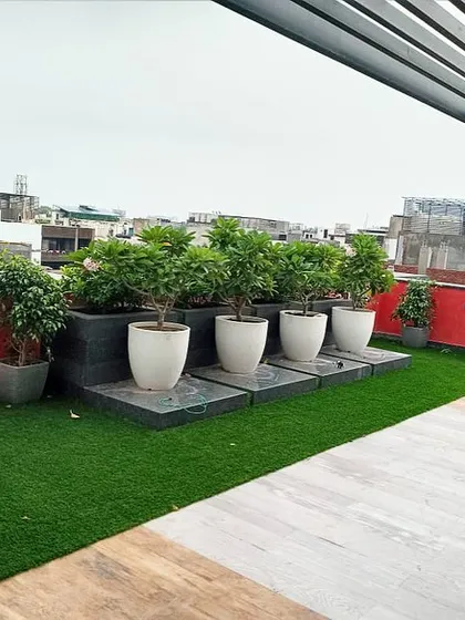 This rooftop design uses a clean, modern aesthetic. I installed artificial turf alongside a light-colored wood-look deck and arranged a series of ficus trees in minimalist white planters on a raised platform.