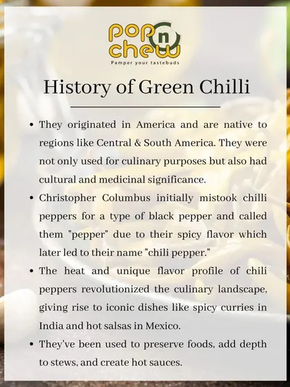 Explore the history of the green chilli. This infographic explains how it journeyed from the Americas to revolutionize culinary landscapes across the world, from Indian curries to Mexican salsas.