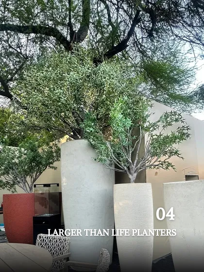 Another example of using oversized planters to create impact. These tall, minimalist planters house mature trees, instantly adding a sense of establishment and grandeur to this outdoor area.