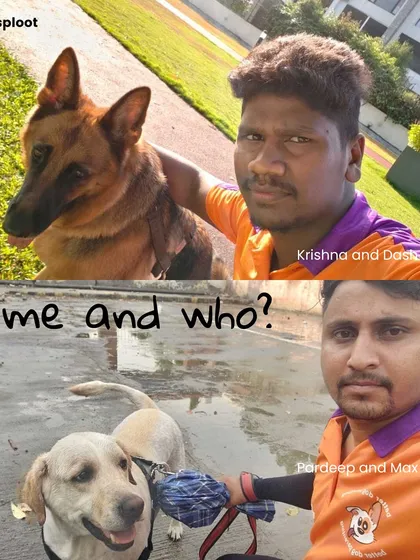 A great walk is about trust and a happy routine. We match your dog with a dedicated walker, so they always have a familiar face and a friend to look forward to seeing.