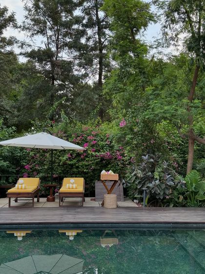 Our poolside is a sanctuary for the senses, especially during the monsoon when the greens are at their most vibrant.