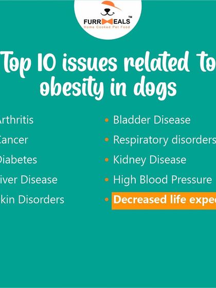 Did you know that helping your dog get lean can add 2.5 years to their life? This series highlights the top 10 health issues linked to obesity and explains how my weight management plans take the guesswork out of feeding.
