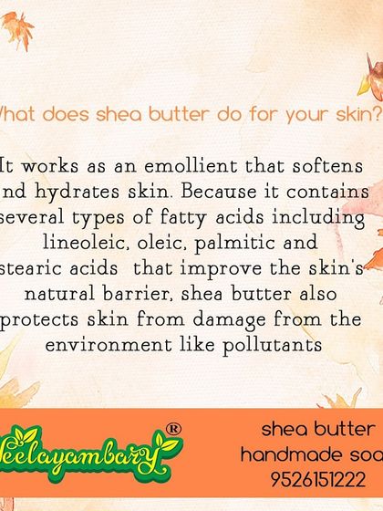 Shea butter is a wonderful emollient that softens and hydrates the skin. My Shea Butter soap is incredibly creamy and helps protect your skin's natural barrier, making it great for babies and those with very dry skin.