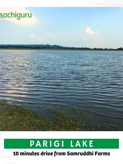 Parigi Lake offers a tranquil escape just 10 minutes from Samruddhi Farms. The views over the lake are mesmerizing, day or night.