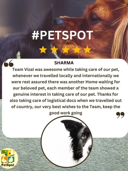 A wonderful review from the Sharma family, who have used our services for both local and international travel. We're so grateful for their trust and are proud to be a second home for their pet.
