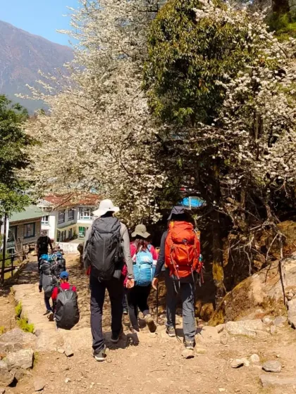 Everest Base Camp: The Ultimate Journey photo 12