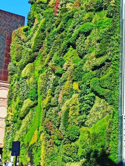No project is too big. I have the team and equipment to install massive vertical gardens on the entire facade of multi-story buildings, creating a stunning landmark.