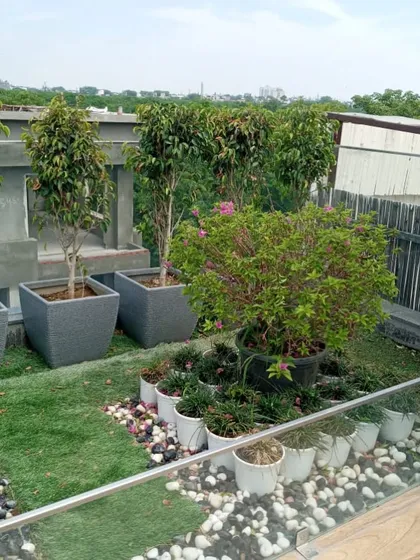 A multi-level terrace garden design in GK1. I used a mix of planters, decorative pebbles, and small patches of turf to create visual interest on different tiers.
