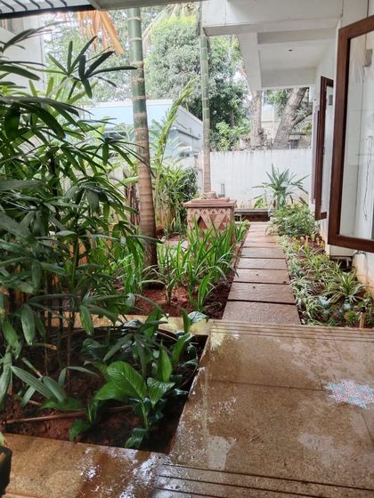 A finished garden pathway lined with new plants, creating a beautiful and inviting walkway.