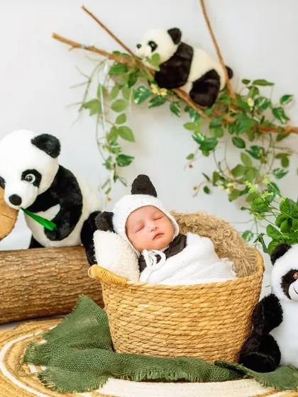 A cuddly panda cub surrounded by his friends. This playful theme uses soft toys and natural elements like wood and bamboo to create a fun and adorable animal-themed portrait.