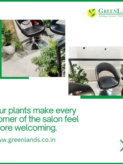 Our plants make every corner of the salon feel more welcoming. This image shows how we strategically place smaller plants around styling stations to enhance the client's experience.