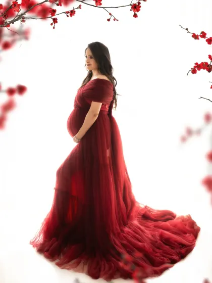 Abhinandan Photography - Maternity Photography Elegant Gown Portraits photo 31