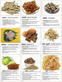 Ayurvedic Wellness Consultation