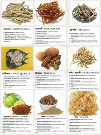 Ayurvedic Wellness Consultation