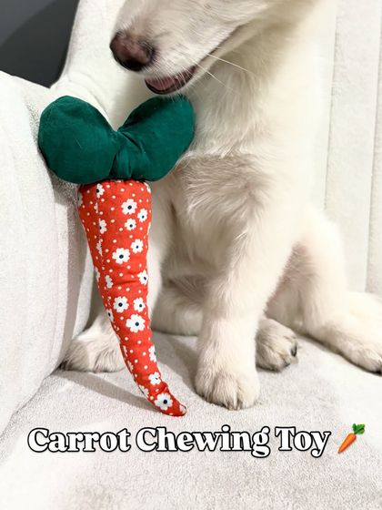 A clear shot of the carrot chewing toy. Its shape and texture are designed to be interesting for dogs, encouraging healthy chewing habits.