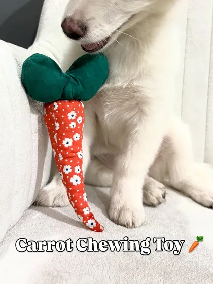 A clear shot of the carrot chewing toy. Its shape and texture are designed to be interesting for dogs, encouraging healthy chewing habits.
