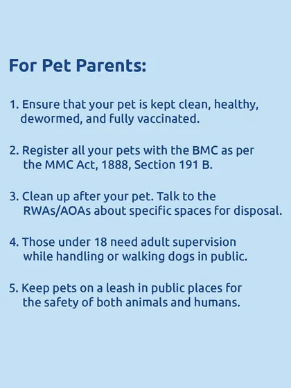 For pet parents in Mumbai: new guidelines require you to keep your pet clean and vaccinated, register them with the BMC, and keep them on a leash in public.