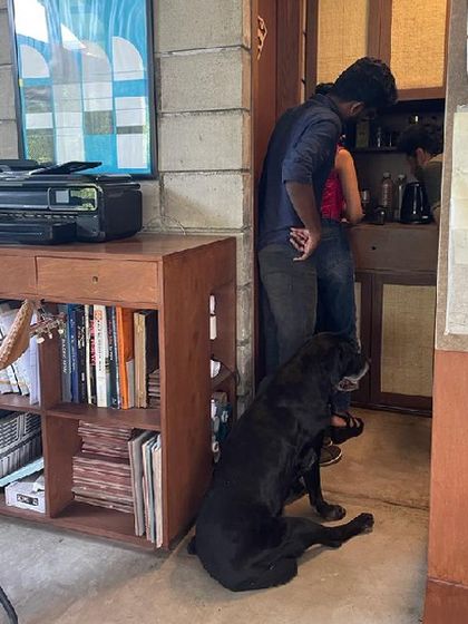 Studio XS - Architectural Design The Studio Playbook & Office Life photo 21